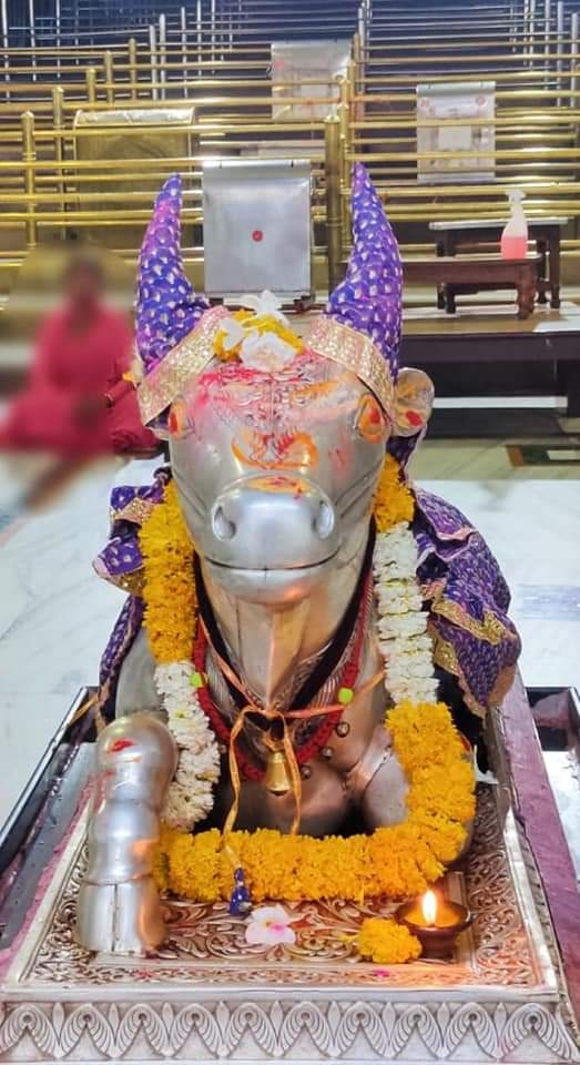 महाकाल लाइव दर्शन