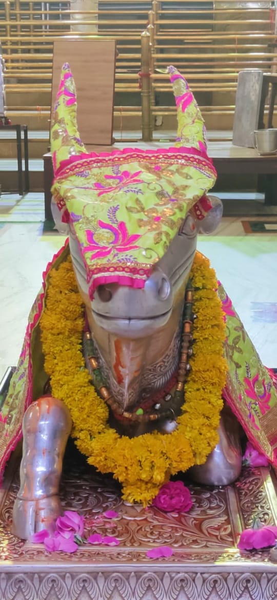 महाकाल दर्शन लाइव