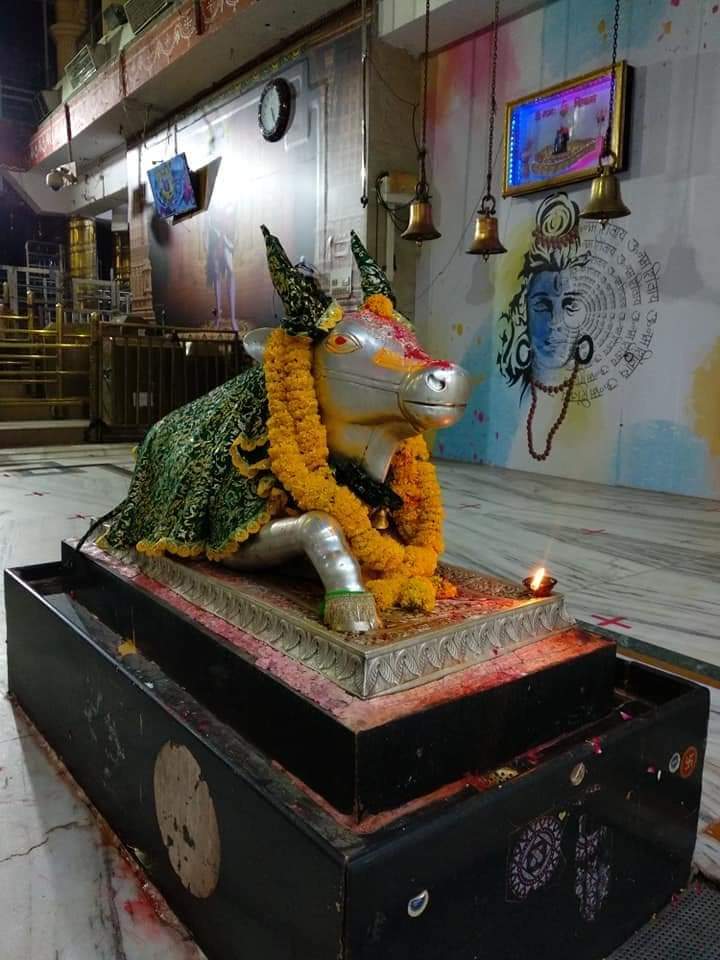 महाकाल दर्शन लाइव