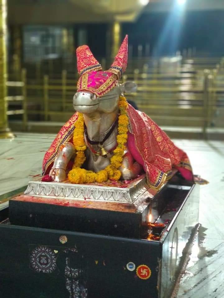 महाकाल दर्शन लाइव