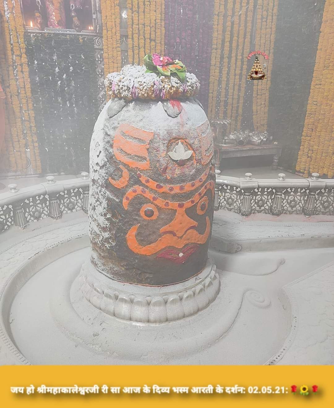 महाकाल लाइव दर्शन