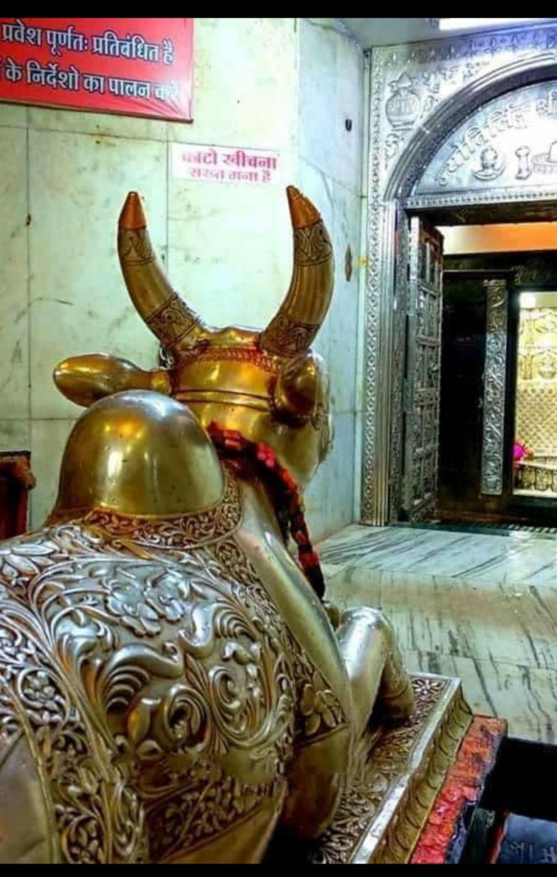 महाकाल दर्शन लाइव