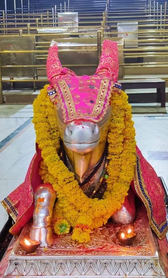 महाकाल दर्शन लाइव