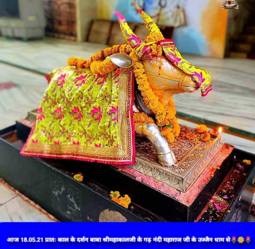महाकाल दर्शन लाइव