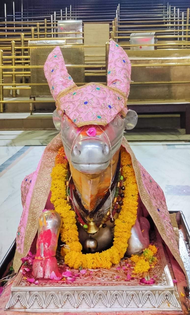 महाकाल दर्शन लाइव