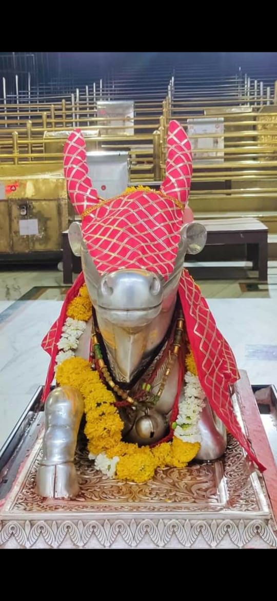 महाकाल दर्शन लाइव