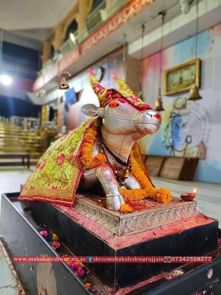 महाकाल दर्शन लाइव