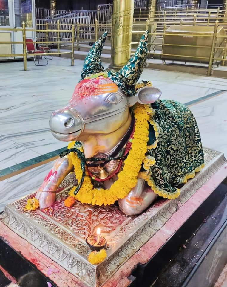 महाकाल दर्शन लाइव
