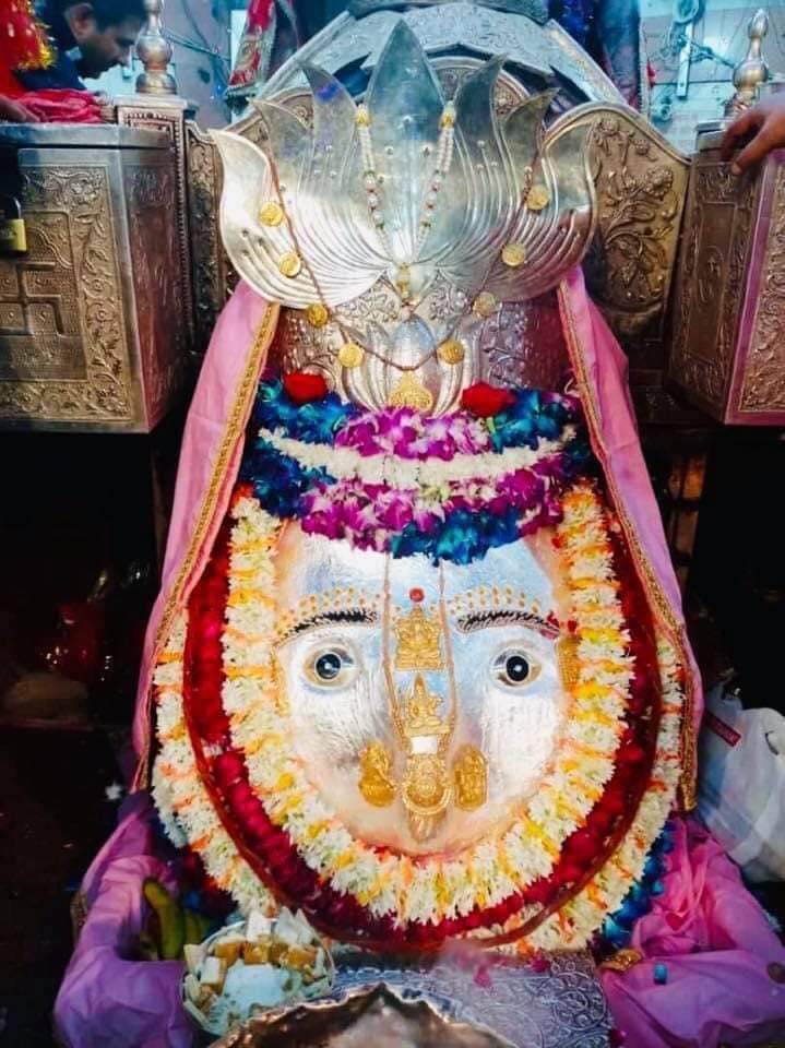 महाकाल लाइव दर्शन