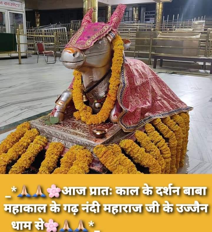 महाकाल लाइव दर्शन
