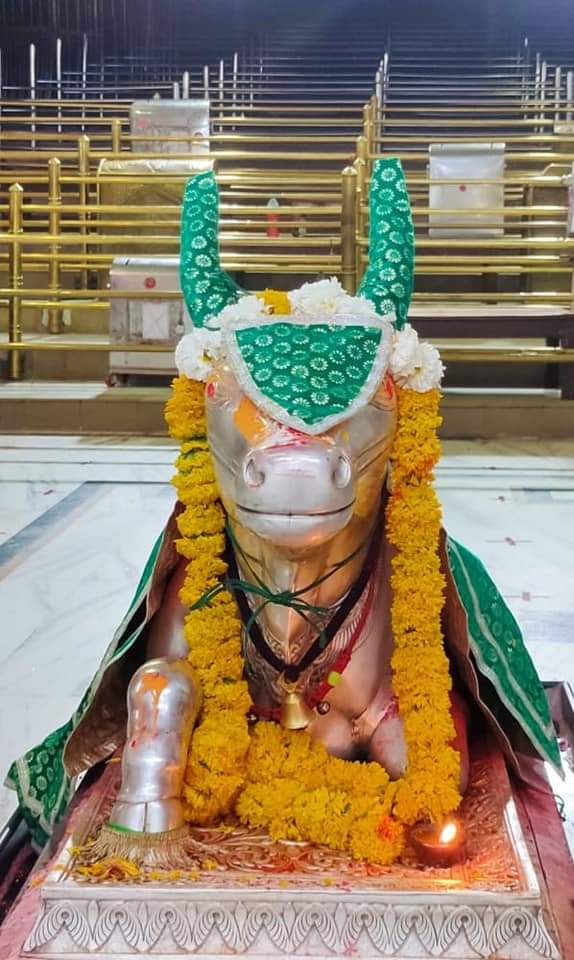 महाकाल दर्शन लाइव