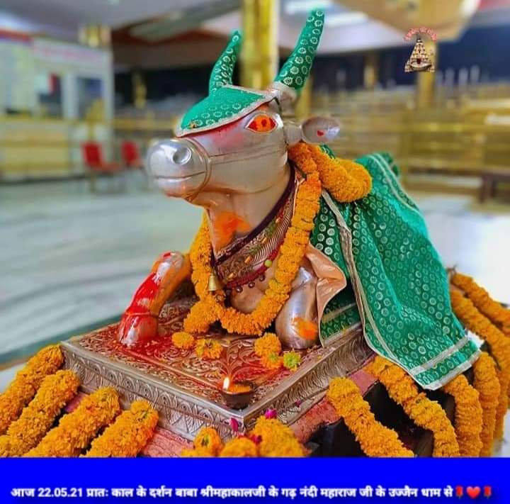 महाकाल लाइव दर्शन