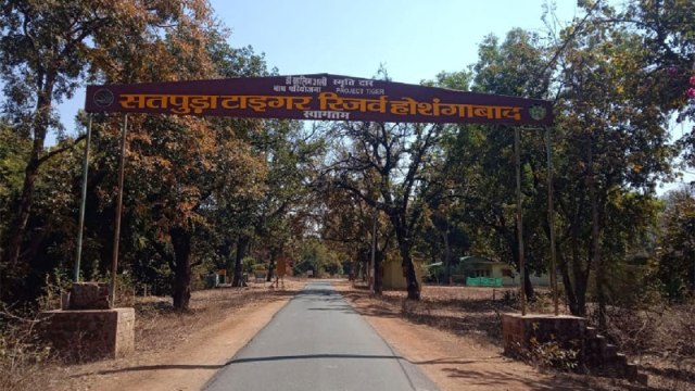 सतपुड़ा और भेड़ाघाट यूनेस्‍को की विश्व धरोहर स्थल की संभावित सूची में शामिल