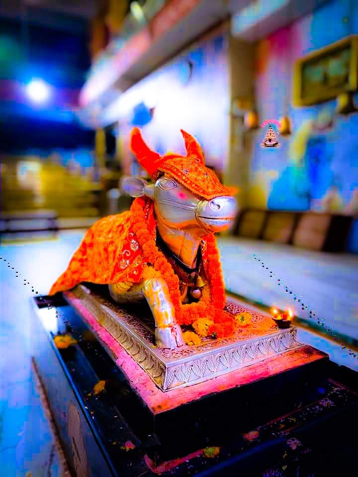 महाकाल दर्शन लाइव