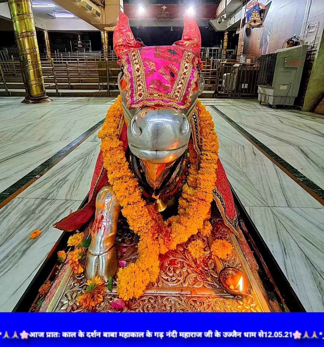 महाकाल दर्शन लाइव