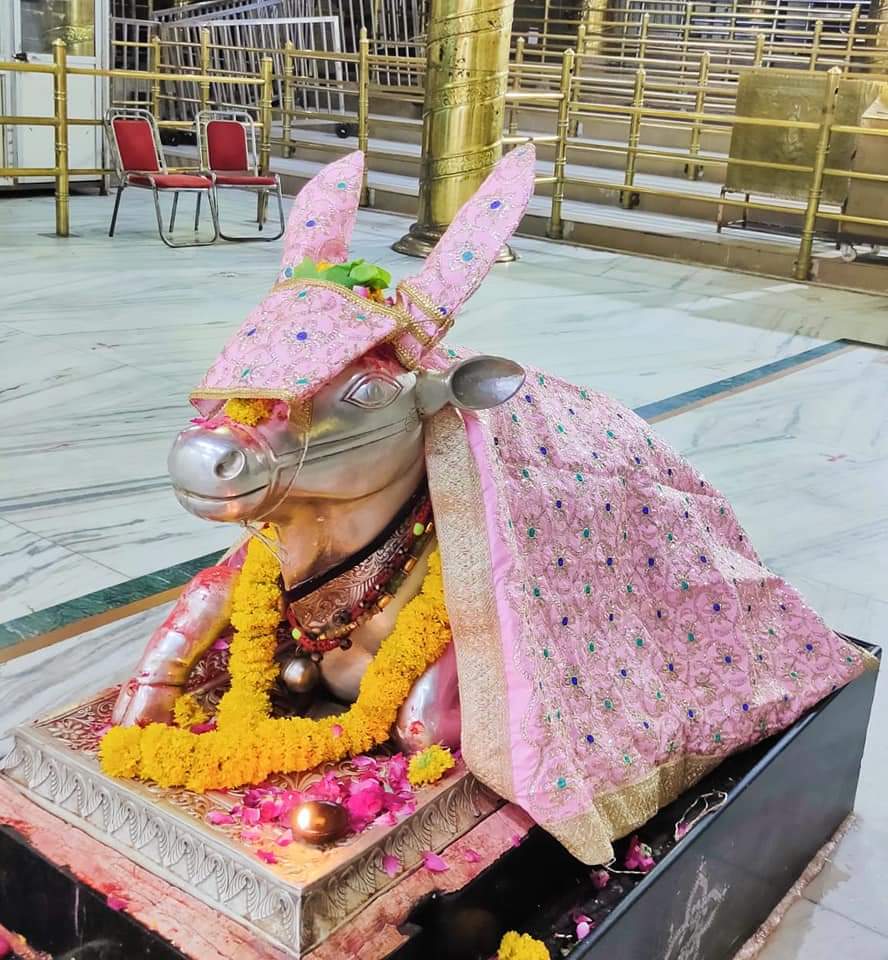 महाकाल दर्शन लाइव