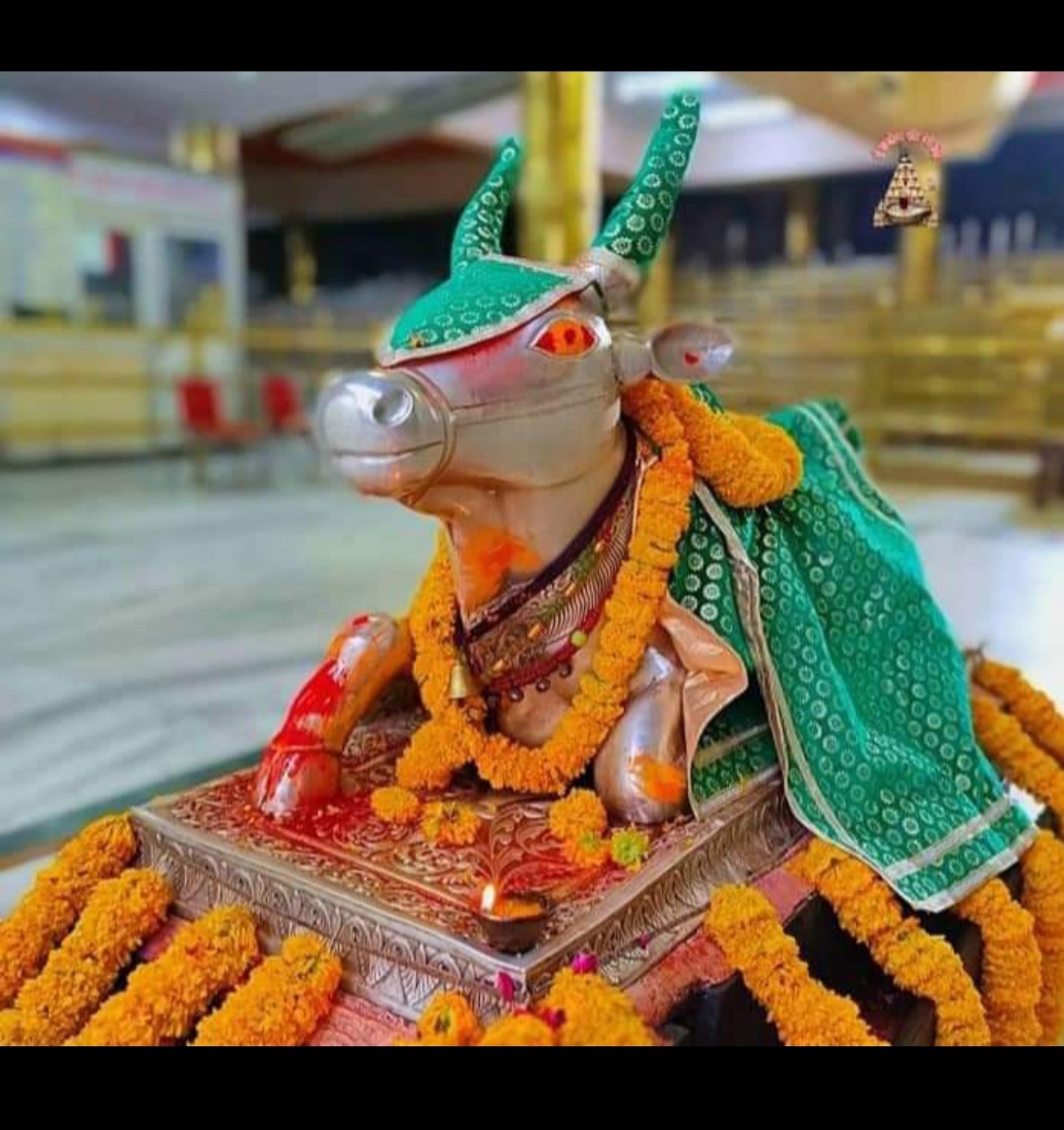 महाकाल दर्शन लाइव
