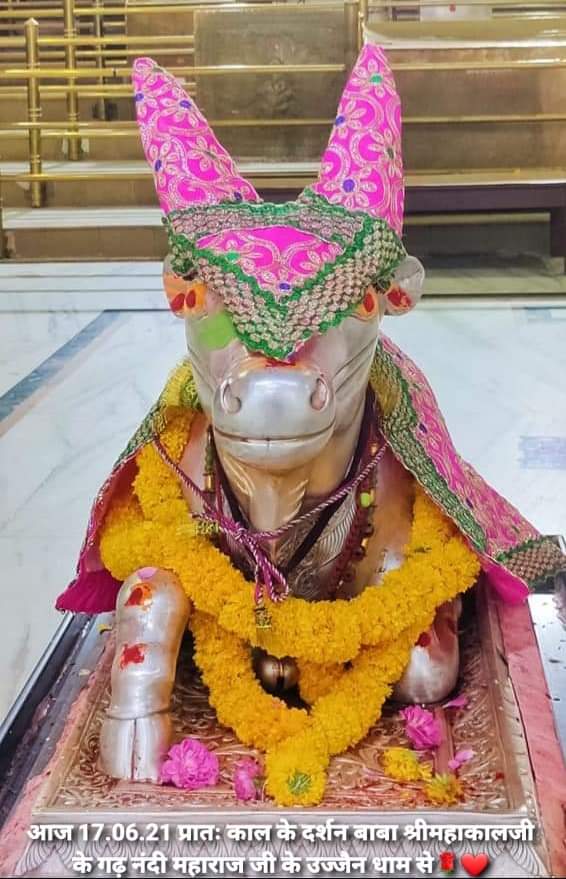 महाकाल दर्शन लाइव