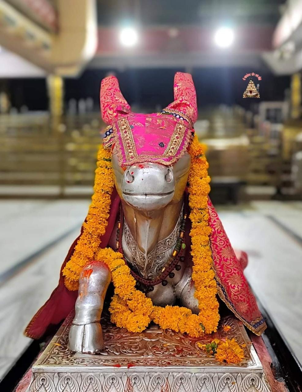 महाकाल दर्शन लाइव