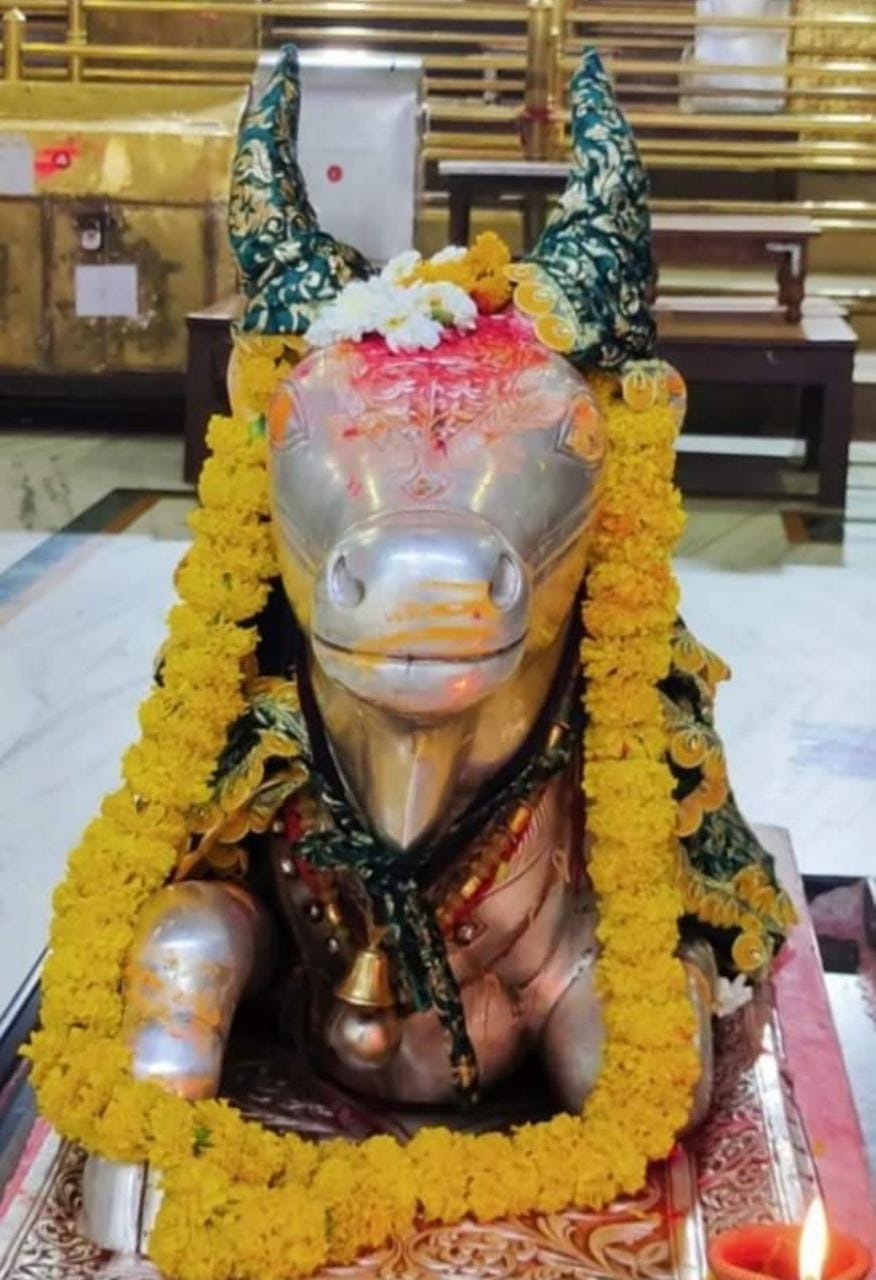 महाकाल दर्शन लाइव