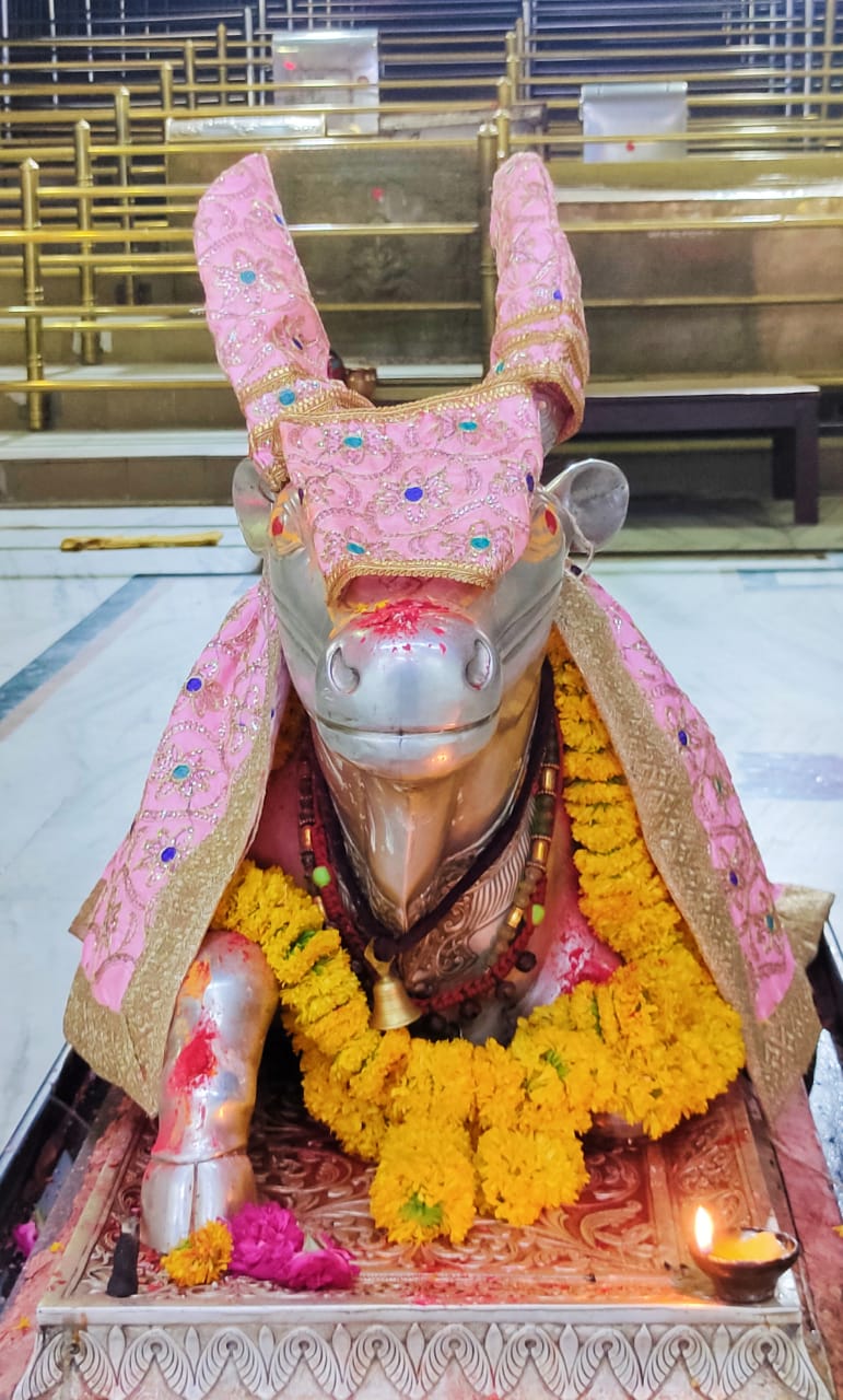 महाकाल दर्शन लाइव