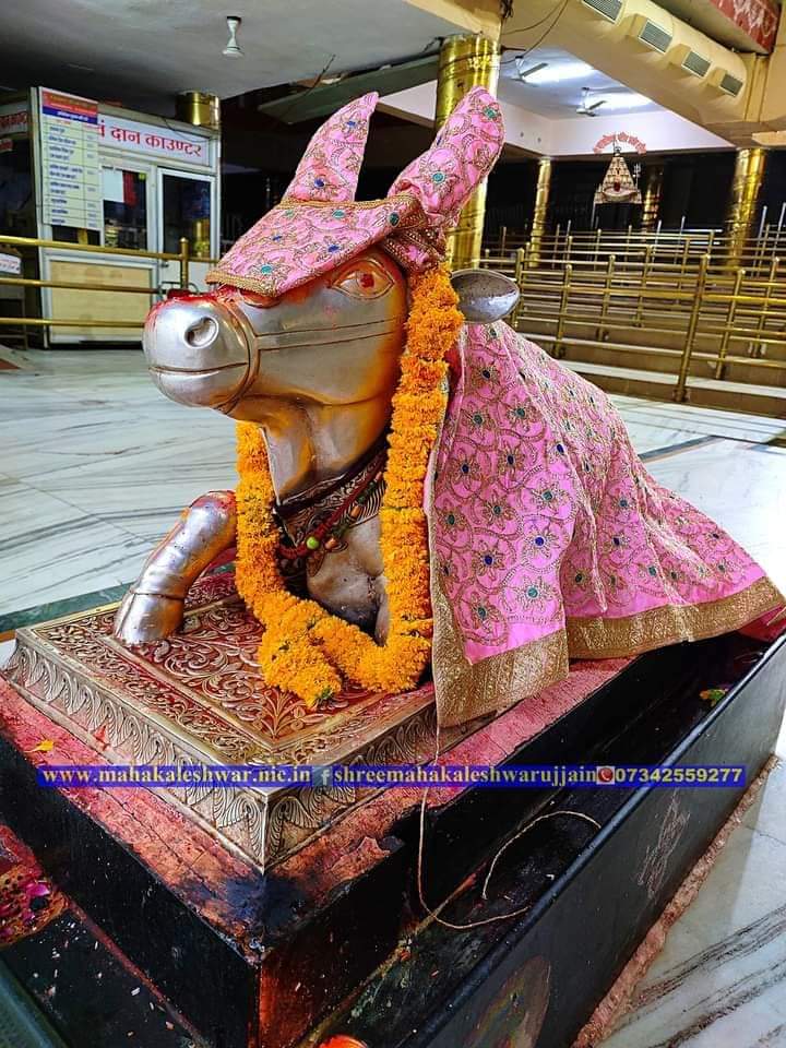 महाकाल दर्शन लाइव