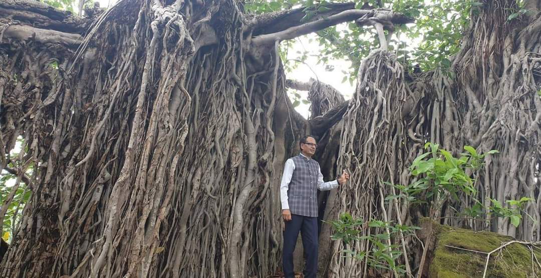 पचमढ़ी के प्रसिद्ध वटवृक्ष के दर्शन करने पहुंचे CM, पोस्ट शेयर कर लिखी ये बात
