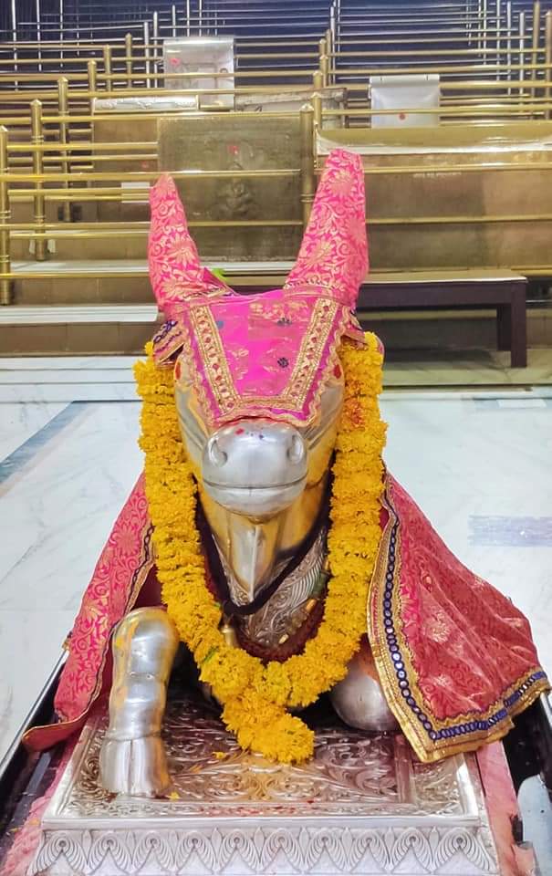 महाकाल लाइव दर्शन