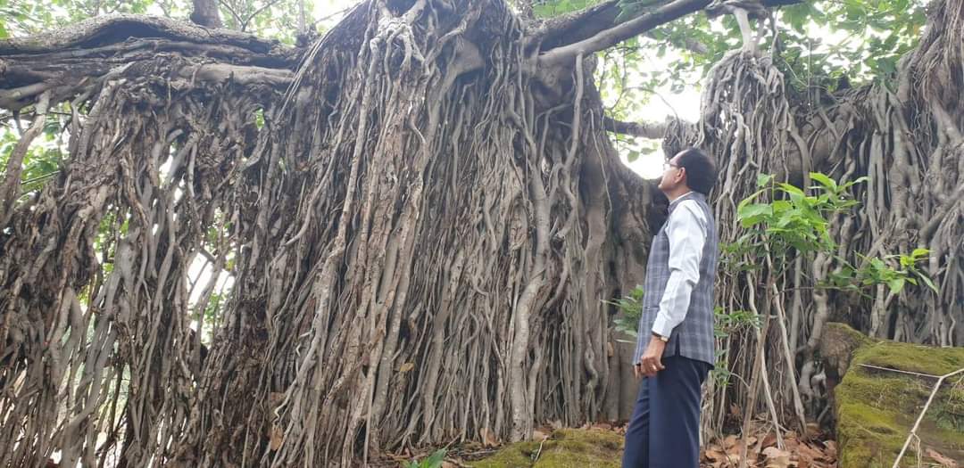 पचमढ़ी के प्रसिद्ध वटवृक्ष के दर्शन करने पहुंचे CM, पोस्ट शेयर कर लिखी ये बात