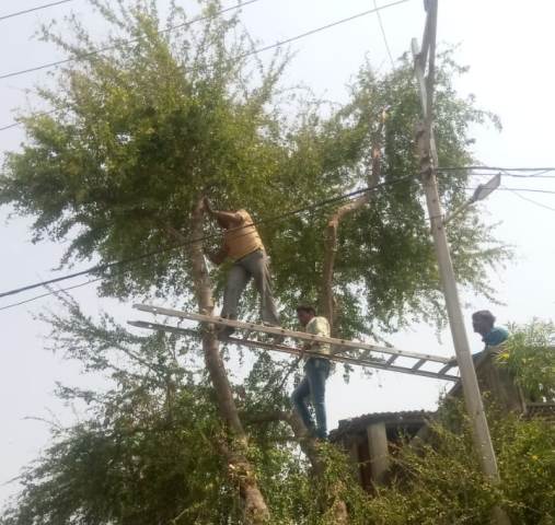 मालवा-निमाड़ में एक दिन में 200 फीडरों पर मैंटेनेंस