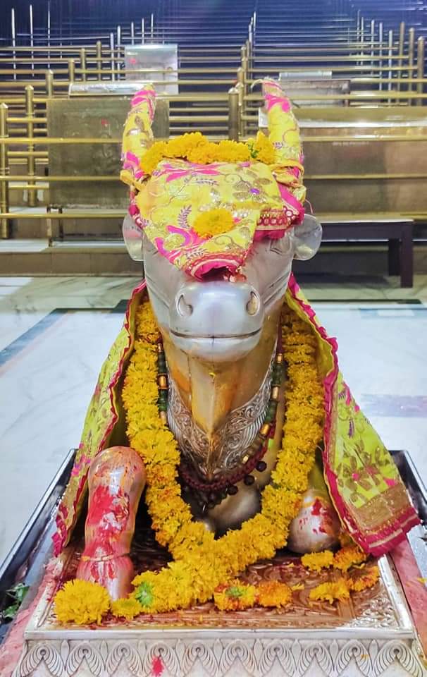 महाकाल लाइव दर्शन