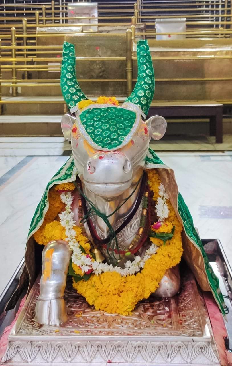 महाकाल दर्शन लाइव