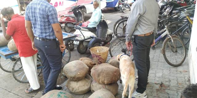 Indore News : शहर के महत्वपूर्ण स्थानों की BDDS टीम ने की विशेष चैकिंग