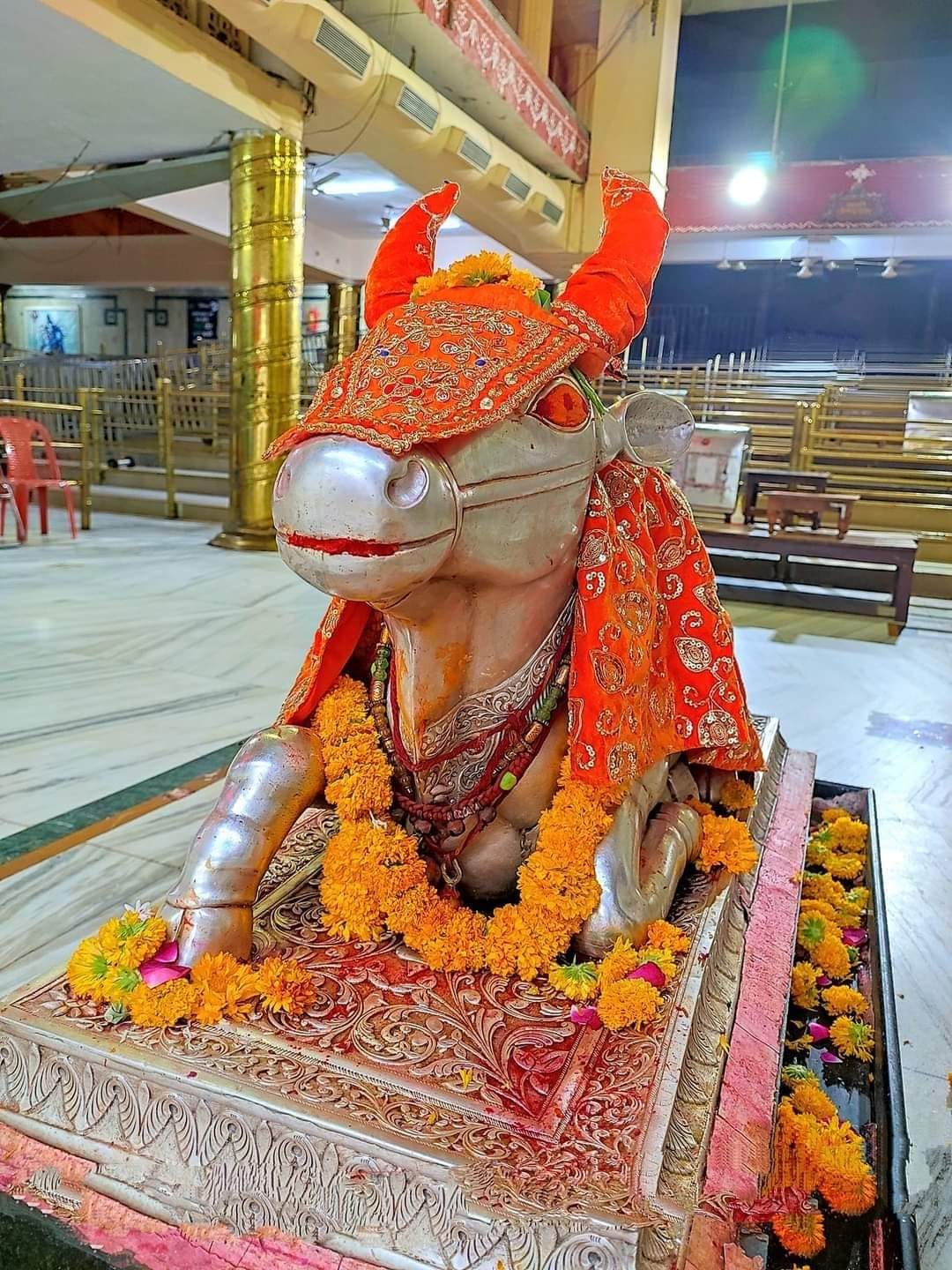 महाकाल लाइव दर्शन