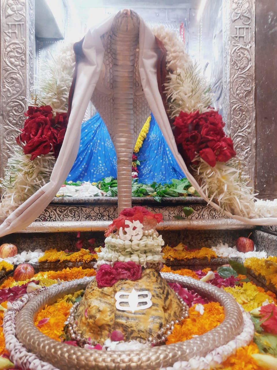 श्री ओंकारेश्वर ज्योतिर्लिंग दर्शन लाइव