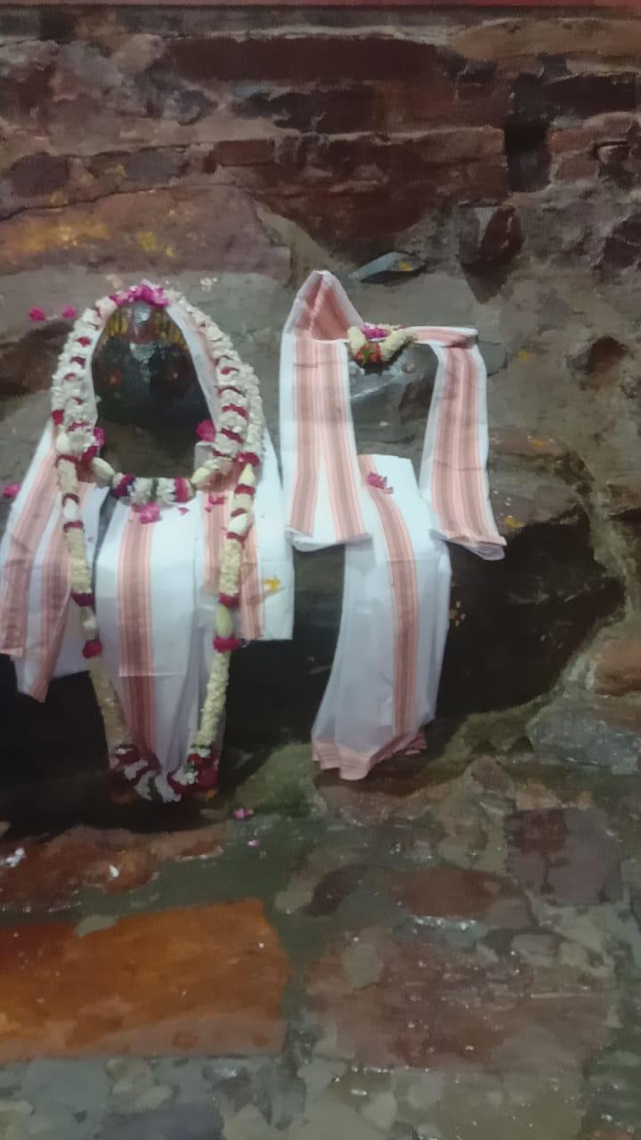 श्री गिरिराज दर्शन लाइव