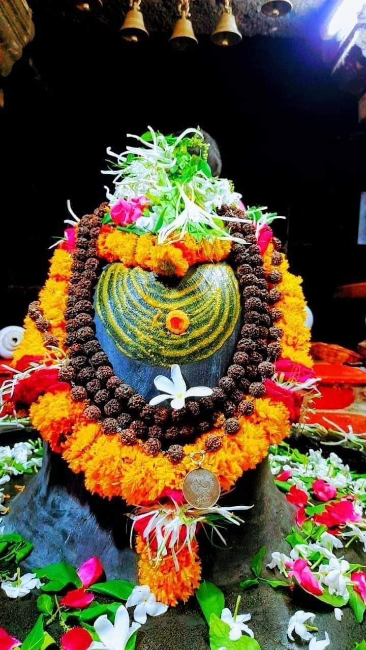 महाकाल लाइव दर्शन