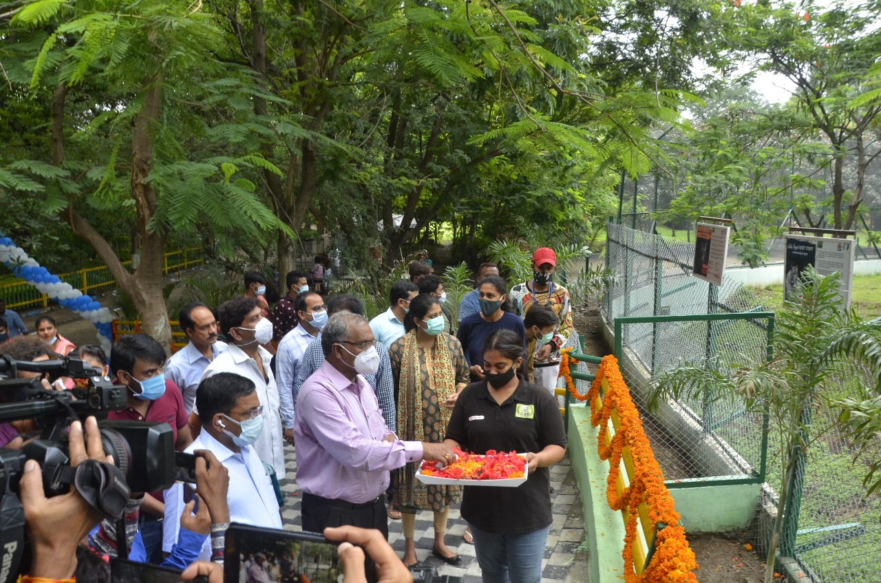 Indore News: अब कमला नेहरू प्राणी संग्रहालय में दर्शक देख सकेंगे व्हाईट टाईगर