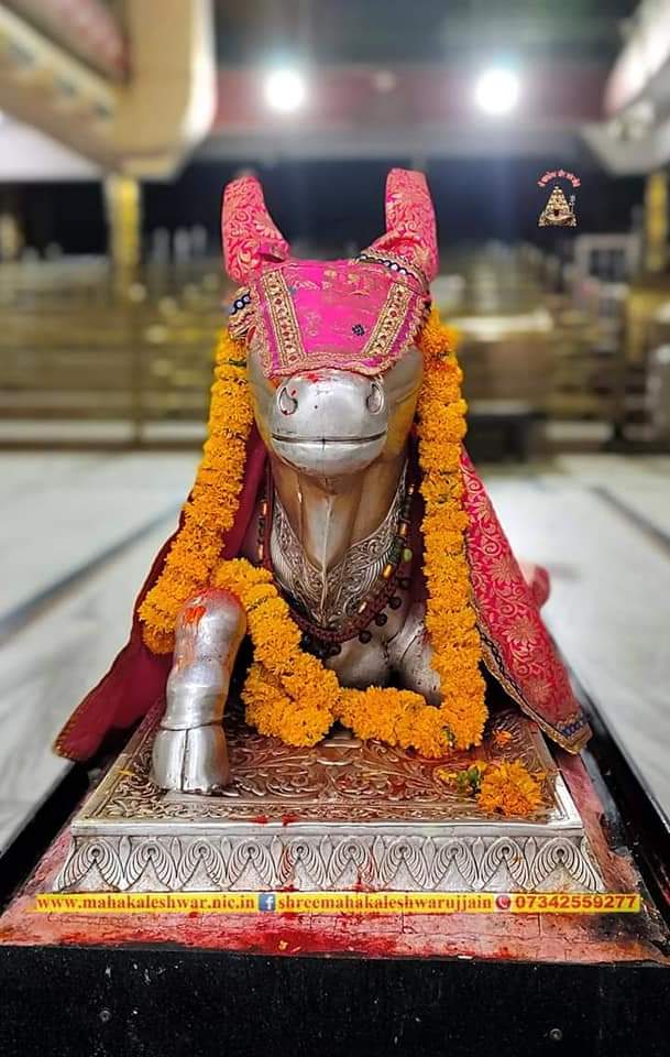 महाकाल लाइव दर्शन