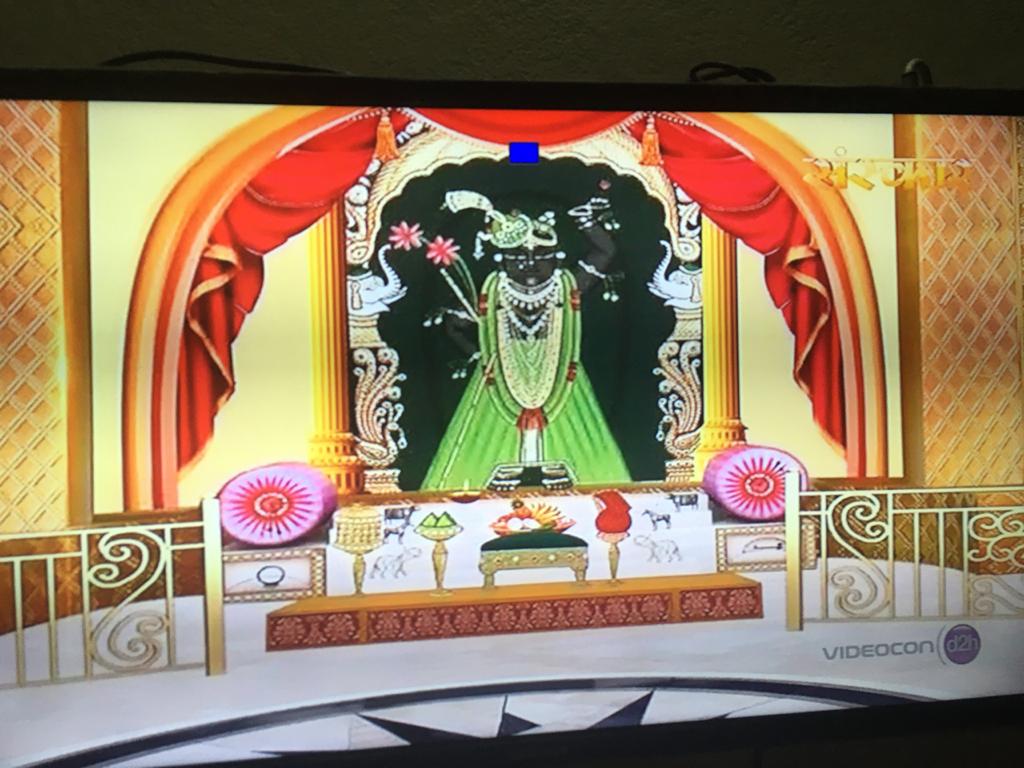 श्रीनाथजी बाबा दर्शन लाइव