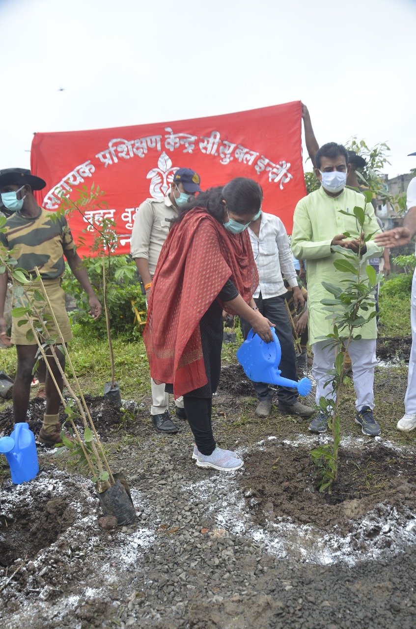 Indore News: नगर निगम का अनूठा महाअभियान, हर घर किया जाएगा वृक्षारोपण