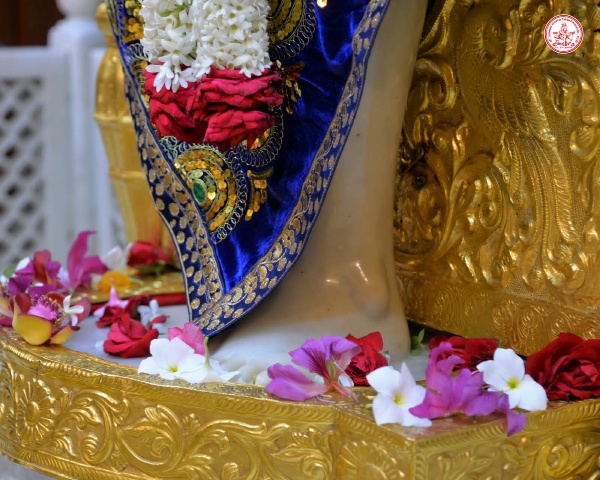शिरडी सांई बाबा दर्शन लाइव