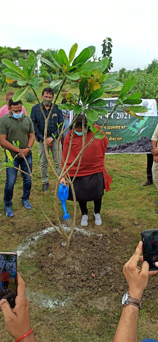 Indore News: नगर निगम का अनूठा महाअभियान, हर घर किया जाएगा वृक्षारोपण