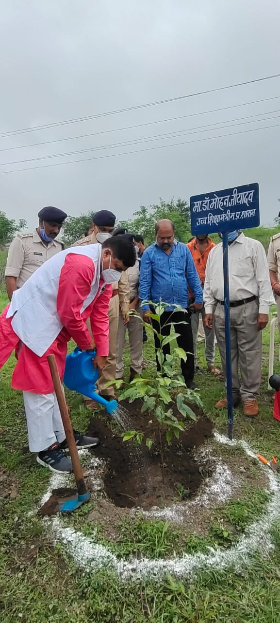 जीवन को सुरक्षित रखने के लिये वृक्षारोपण है जरुरी- उच्च शिक्षा मंत्री