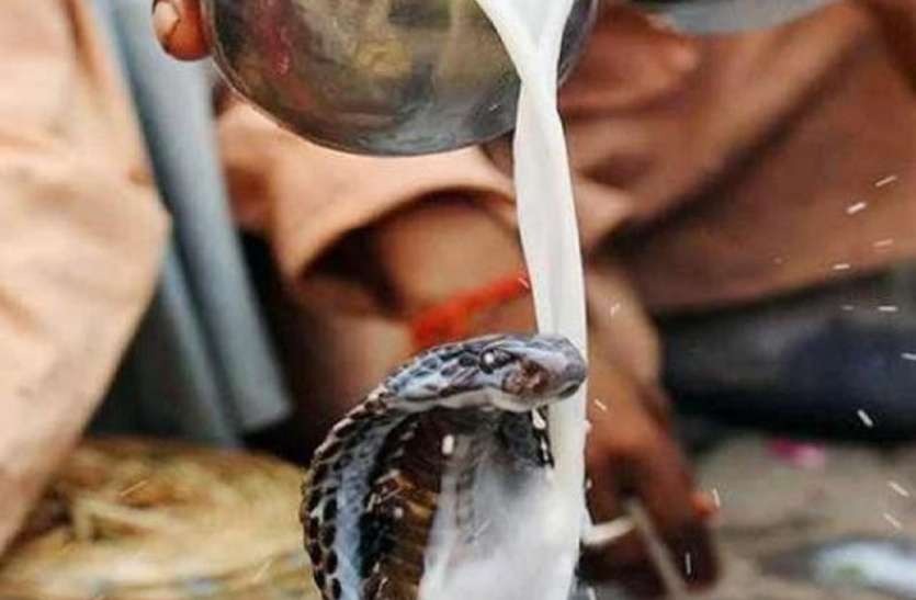 पंचमी पर ‘नाग’ और ‘कुश्ती’ का यह रिश्ता क्या है?