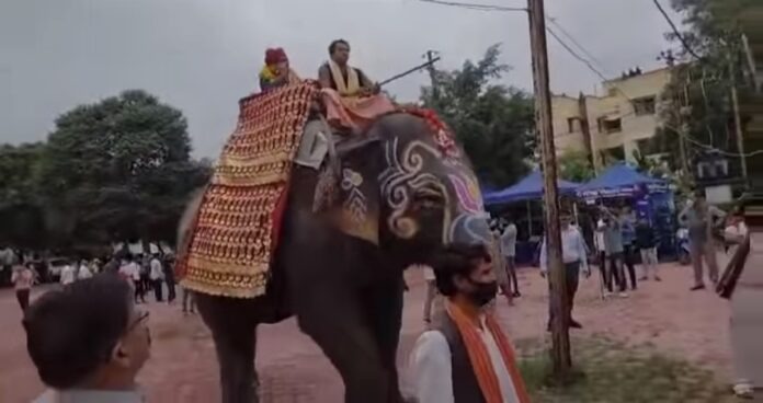 Indore News: सब इंस्पेक्टर का अनोखा रिटायरमेंट, बैंड-बाजे के साथ हाथी पर बैठाकर निकाला जुलूस