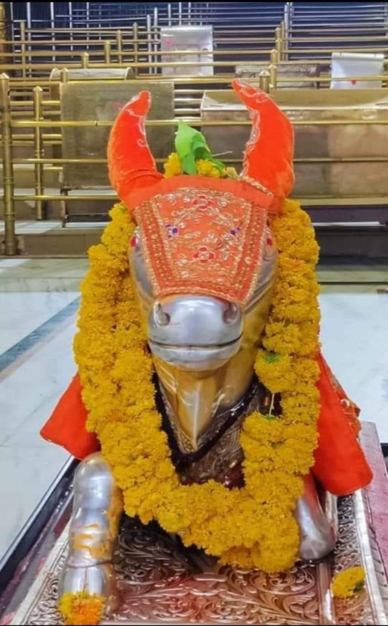 महाकाल लाइव लाइव दर्शन