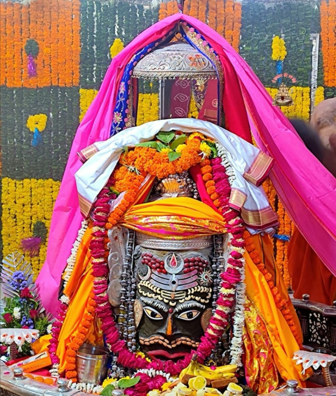 महाकाल दर्शन लाइव