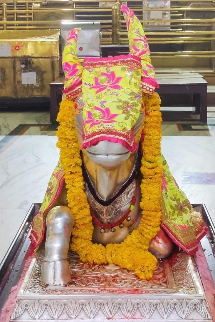 महाकाल लाइव दर्शन