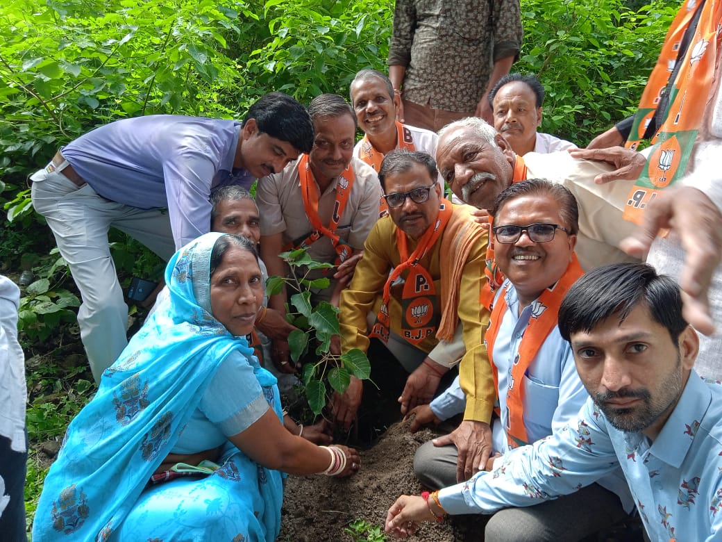 सेवा समर्पण अभियान के नमो उपवन कार्यक्रम में हुआ वृक्षारोपण